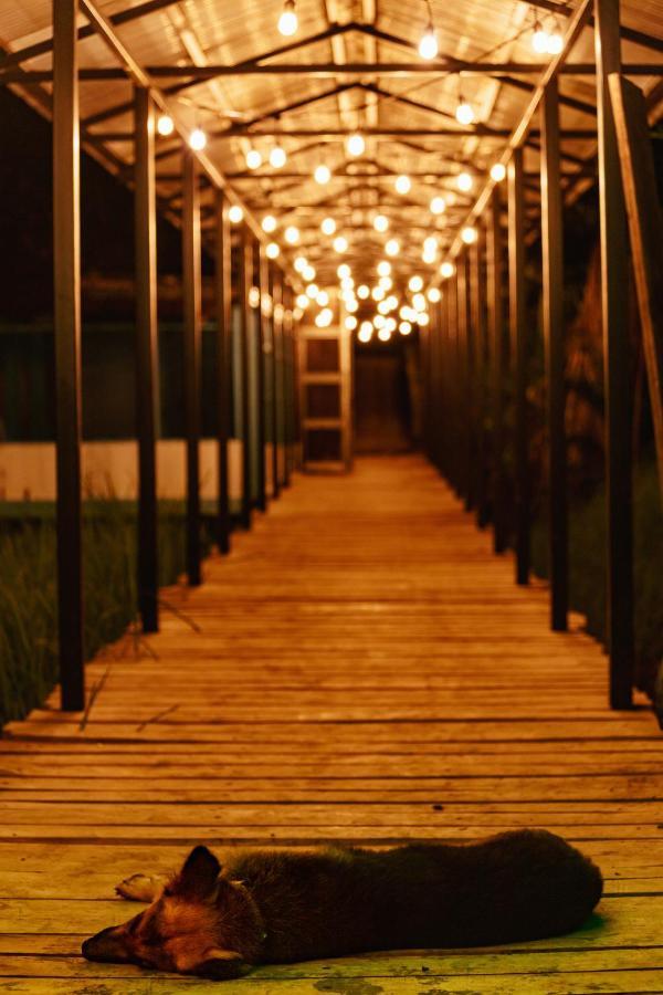 Oso De Osa Hotel Sierpe Екстериор снимка