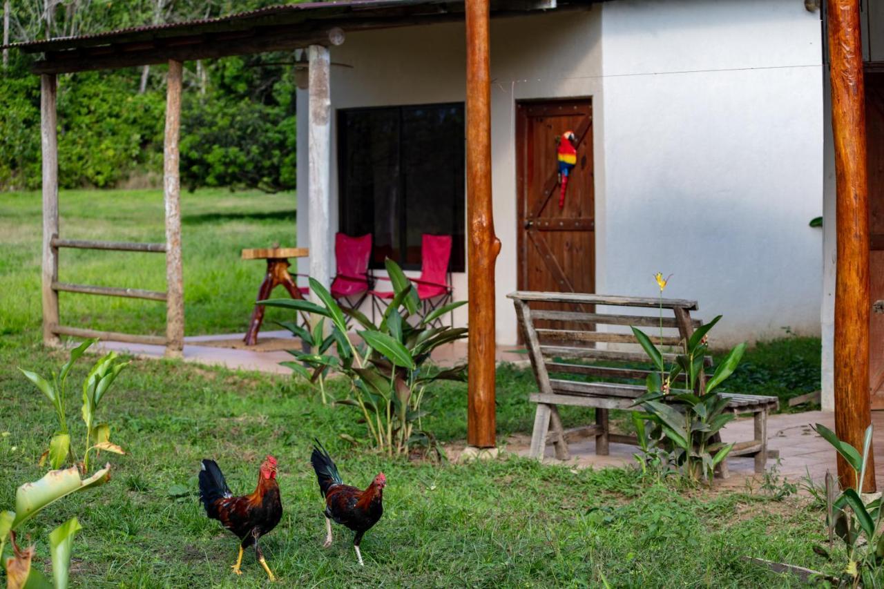 Oso De Osa Hotel Sierpe Екстериор снимка